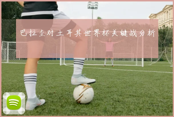 巴拉圭对土耳其世界杯关键战分析