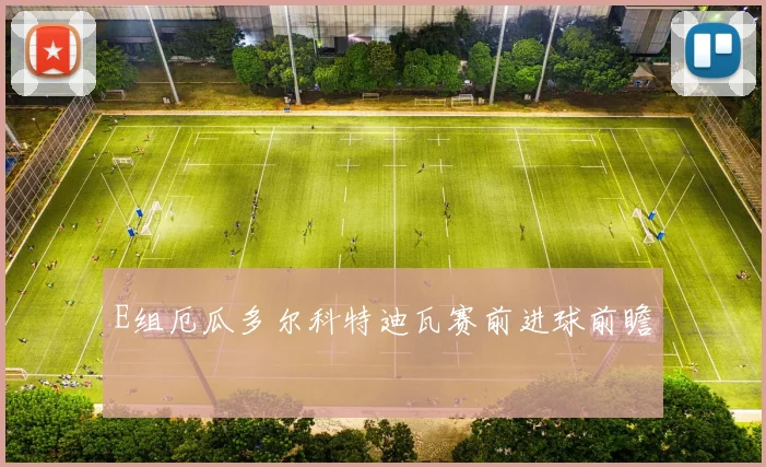 E组厄瓜多尔科特迪瓦赛前进球前瞻