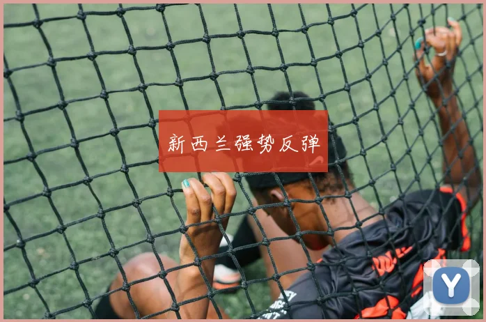 新西兰强势反弹
