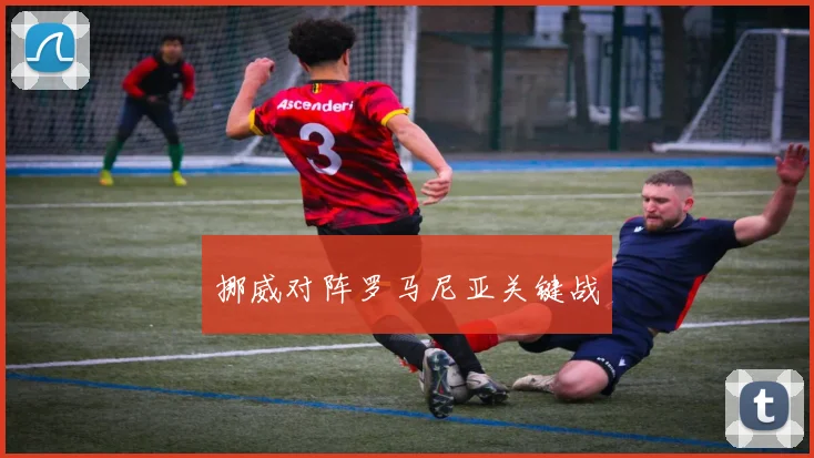 挪威对阵罗马尼亚关键战