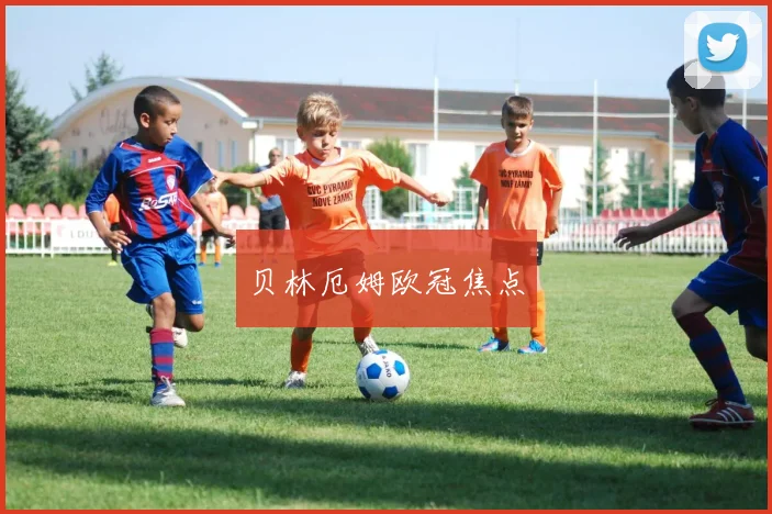 贝林厄姆欧冠焦点