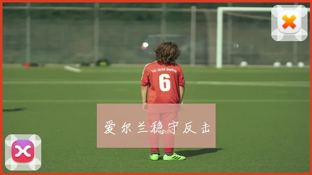 爱尔兰稳守反击