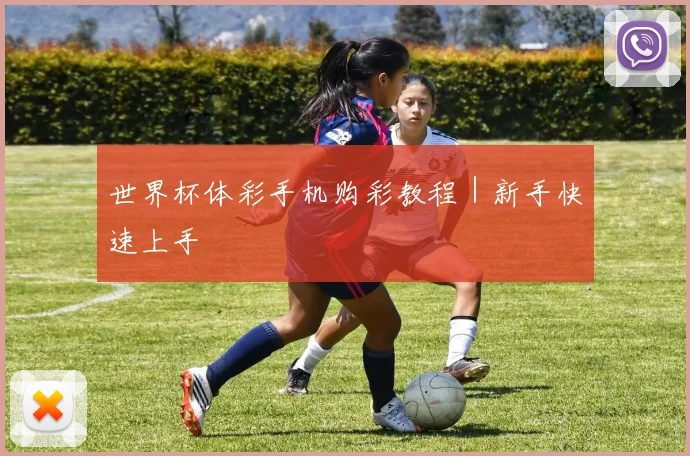 世界杯体彩手机购彩教程｜新手快速上手