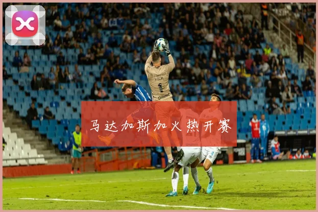 马达加斯加火热开赛