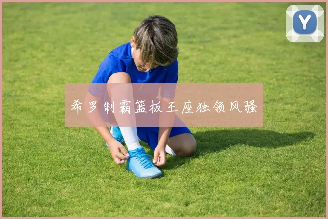 希罗制霸篮板王座独领风骚