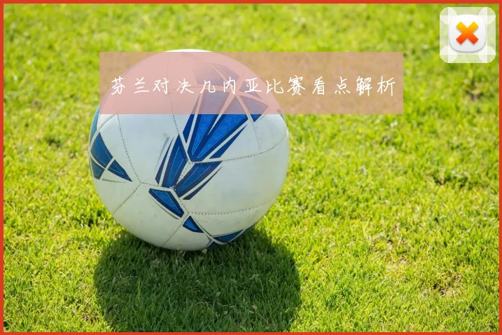 芬兰对决几内亚比赛看点解析