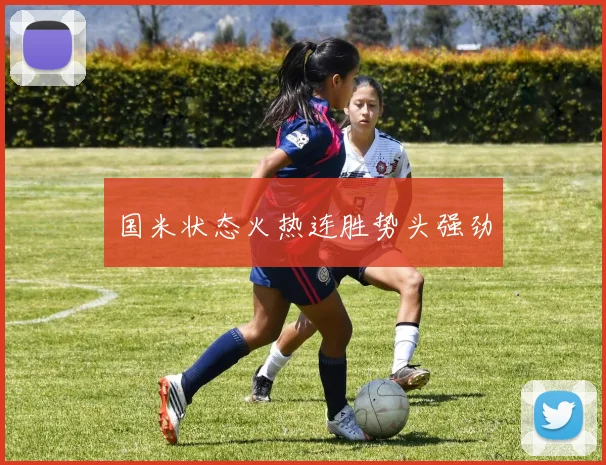 国米状态火热连胜势头强劲
