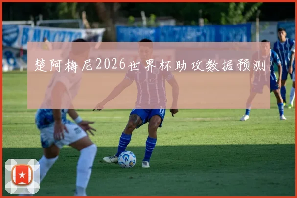 楚阿梅尼2026世界杯助攻数据预测