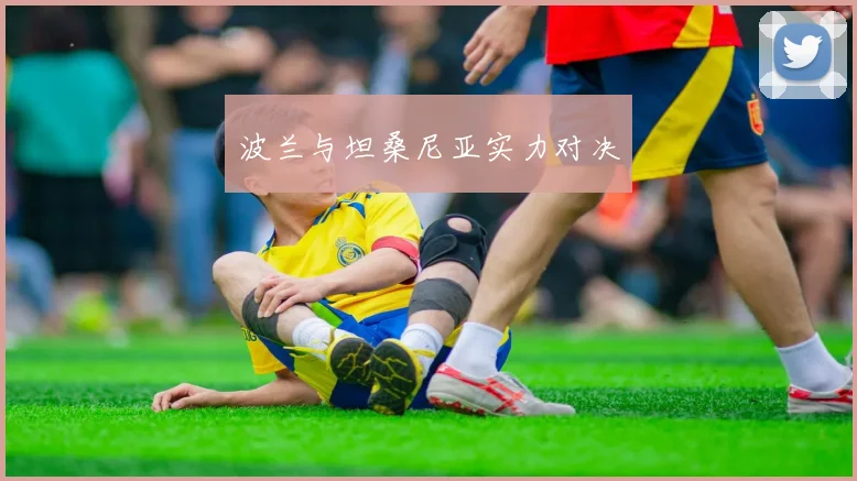 波兰与坦桑尼亚实力对决