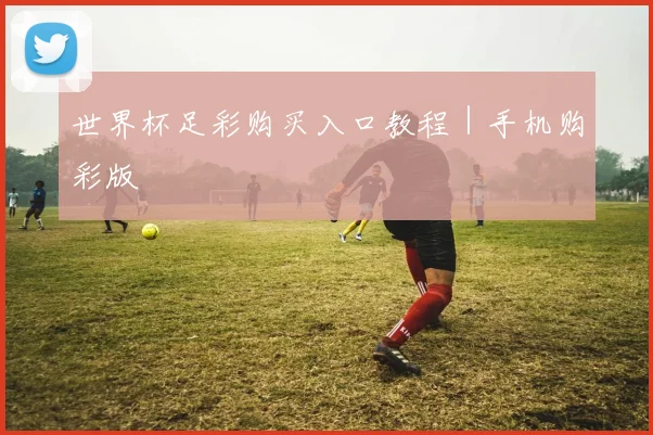 世界杯足彩购买入口教程｜手机购彩版