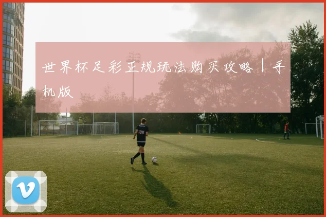 世界杯足彩正规玩法购买攻略｜手机版