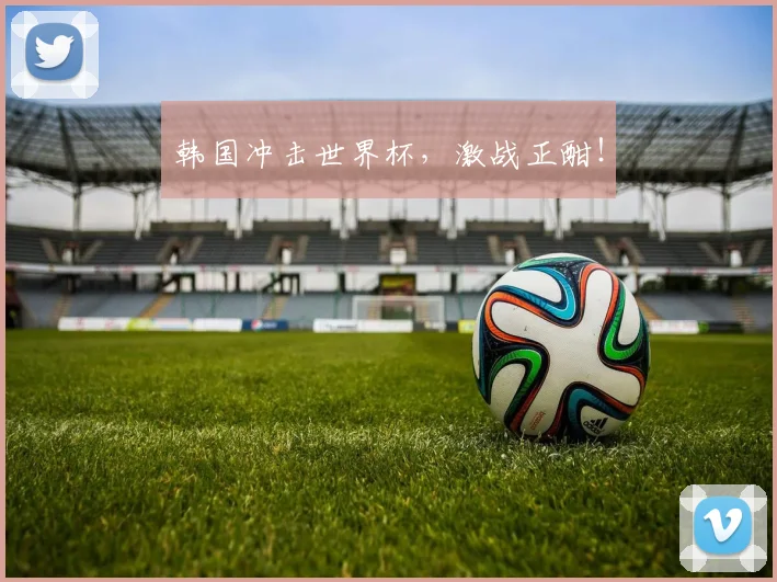韩国冲击世界杯，激战正酣！