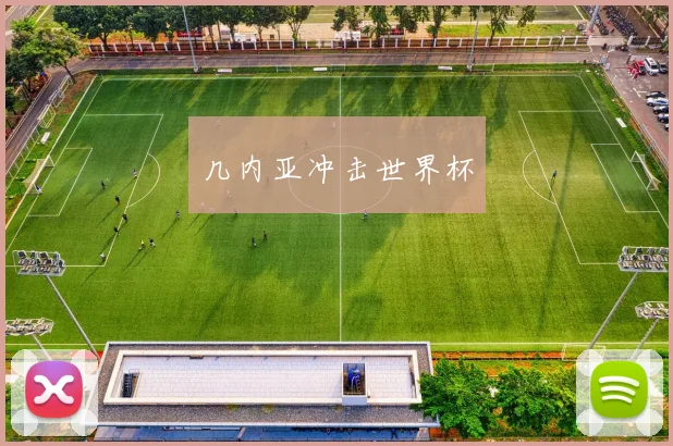 几内亚冲击世界杯