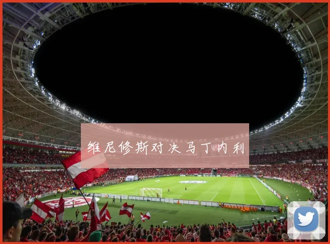 维尼修斯对决马丁内利