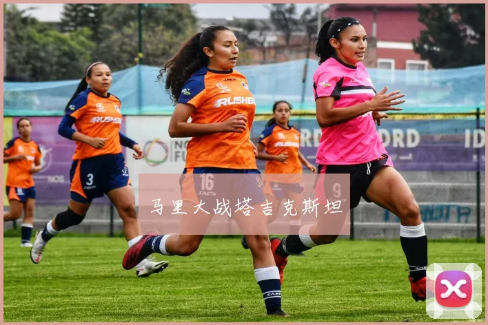 马里大战塔吉克斯坦