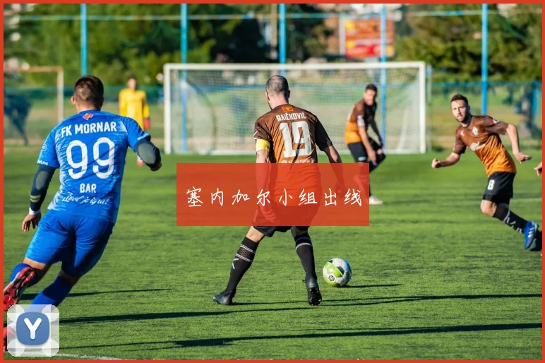 塞内加尔小组出线