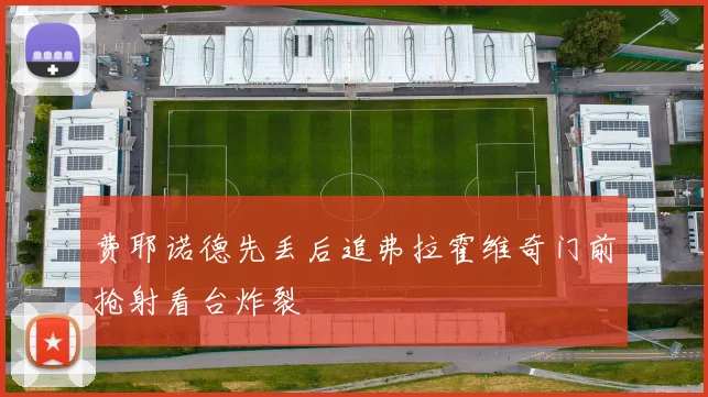 费耶诺德先丢后追弗拉霍维奇门前抢射看台炸裂
