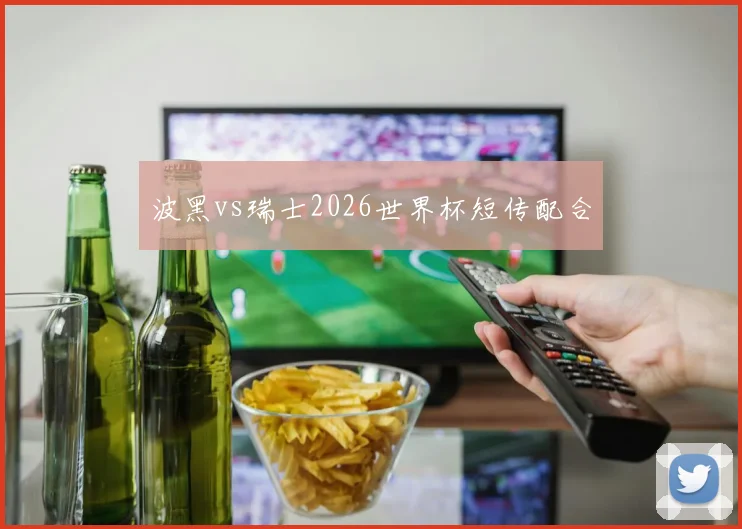 波黑vs瑞士2026世界杯短传配合